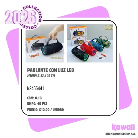 PARLANTE CON LUZ LED