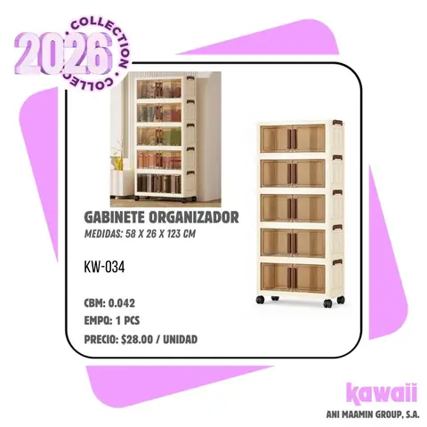 GABINETE ORGANIZADOR