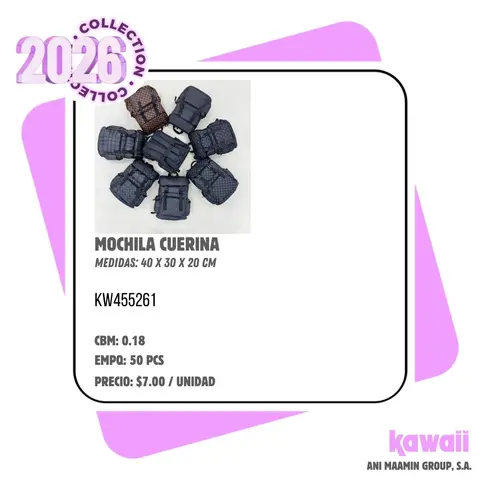 MOCHILA CUERINA
