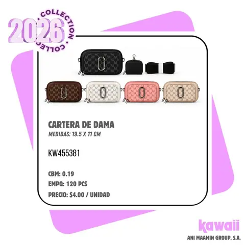 CARTERA DE DAMA