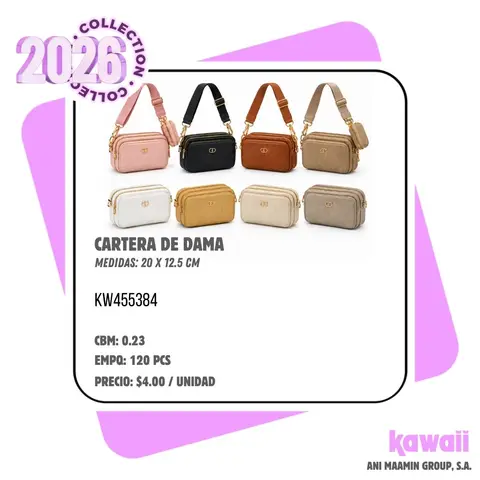 CARTERA DE DAMA