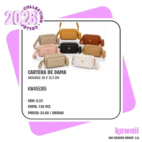 CARTERA DE DAMA