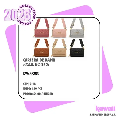 CARTERA DE DAMA