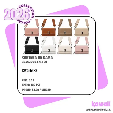 CARTERA DE DAMA