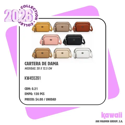 CARTERA DE DAMA