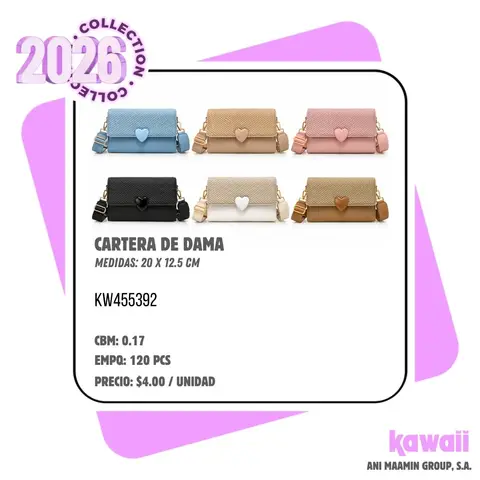 CARTERA DE DAMA