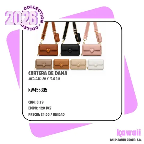 CARTERA DE DAMA